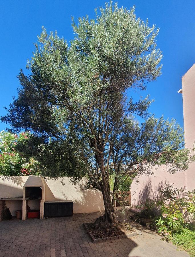 Appartement avec vaste terrasse à 30 m des dunes Agde Exterior foto